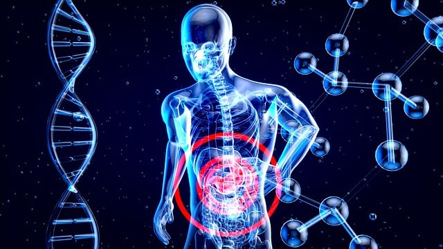 3. Enhancing Gut Health: How Oikos Pro Yogurt Nurtures Your Microbiome