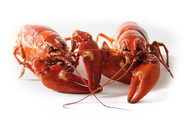 5. The Role of Crawfish​ in Boosting ‌Brain Health: An In-depth Analysis
