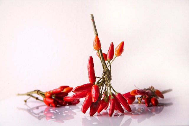 Is Chili a Condiment? Chili Lovers, Learn More! 5 4. Determining the Role of Chili in Your Culinary Creations: Tips for Optimal Usage