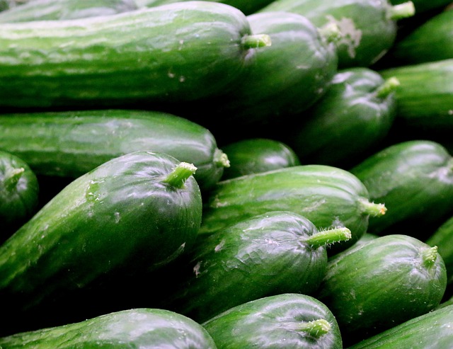 Are Persian Cucumbers Good for You? Crisp and Healthy 2 1. The Nutritional Benefits of Persian Cucumbers: A Crisp and Healthy Addition to Your Diet
