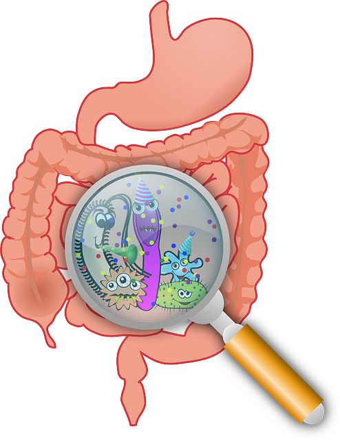 - Promoting a Healthy Gut While Fasting: Proven Approaches and Best Practices