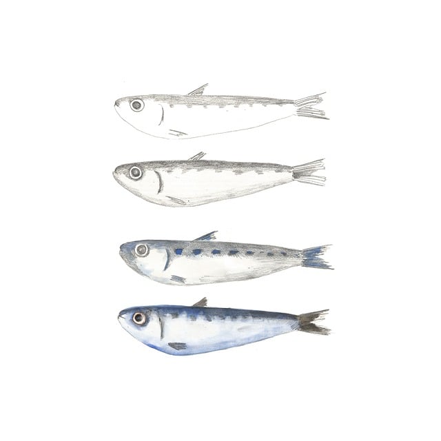 5. Are there any Potential Risks? Examining the Facts about Sardines in Soybean Oil