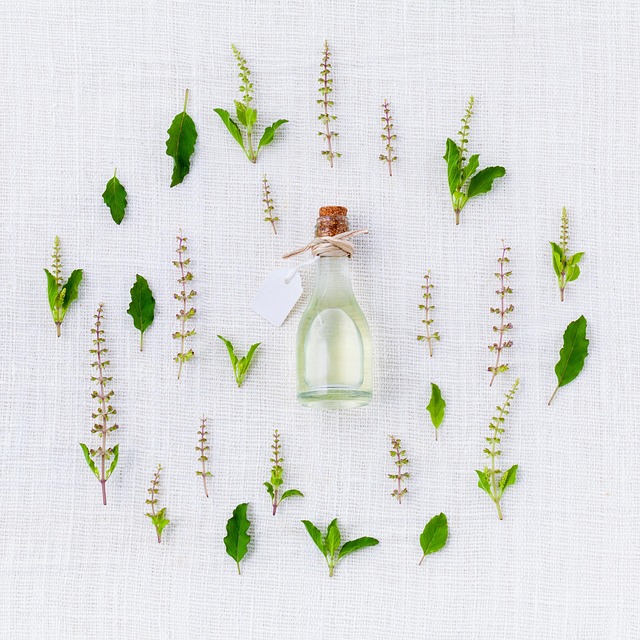 - An Exploration into the World of Condiments: Unveiling the Top Picks